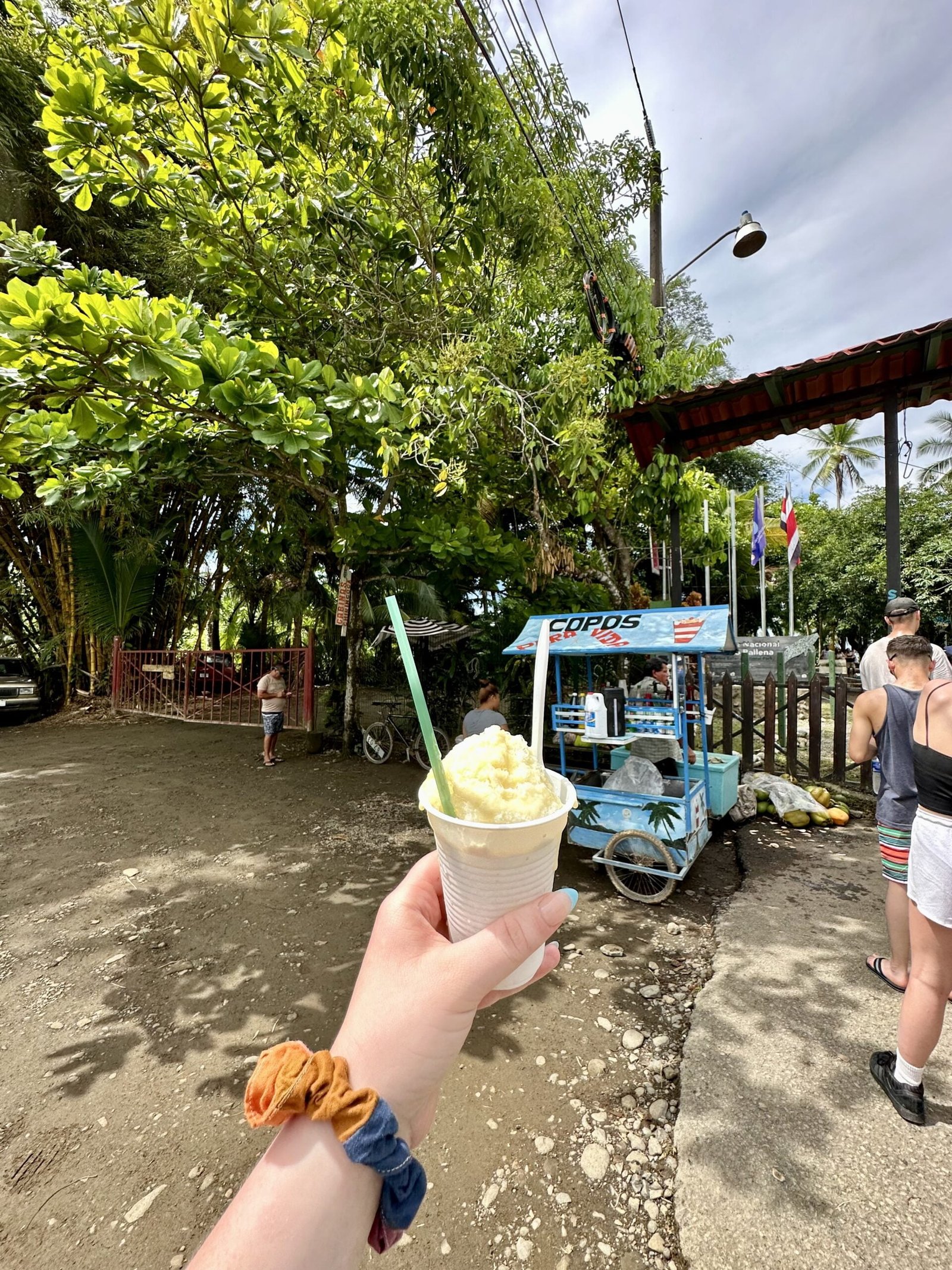 Costa Rican Copo in Uvita
