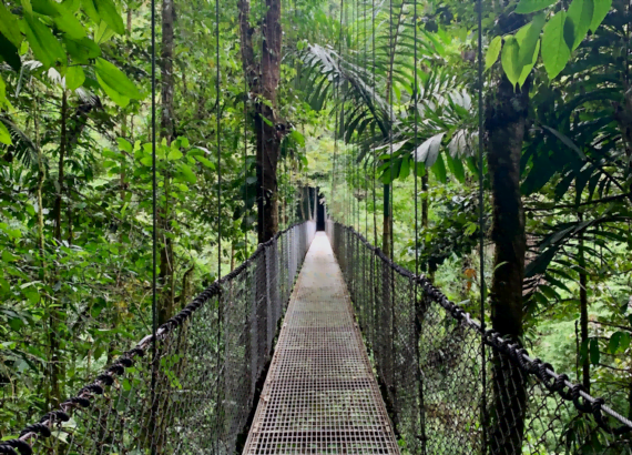 Hanging bridge at Mistico Hanging Bridges, Arenal, Costa Rica