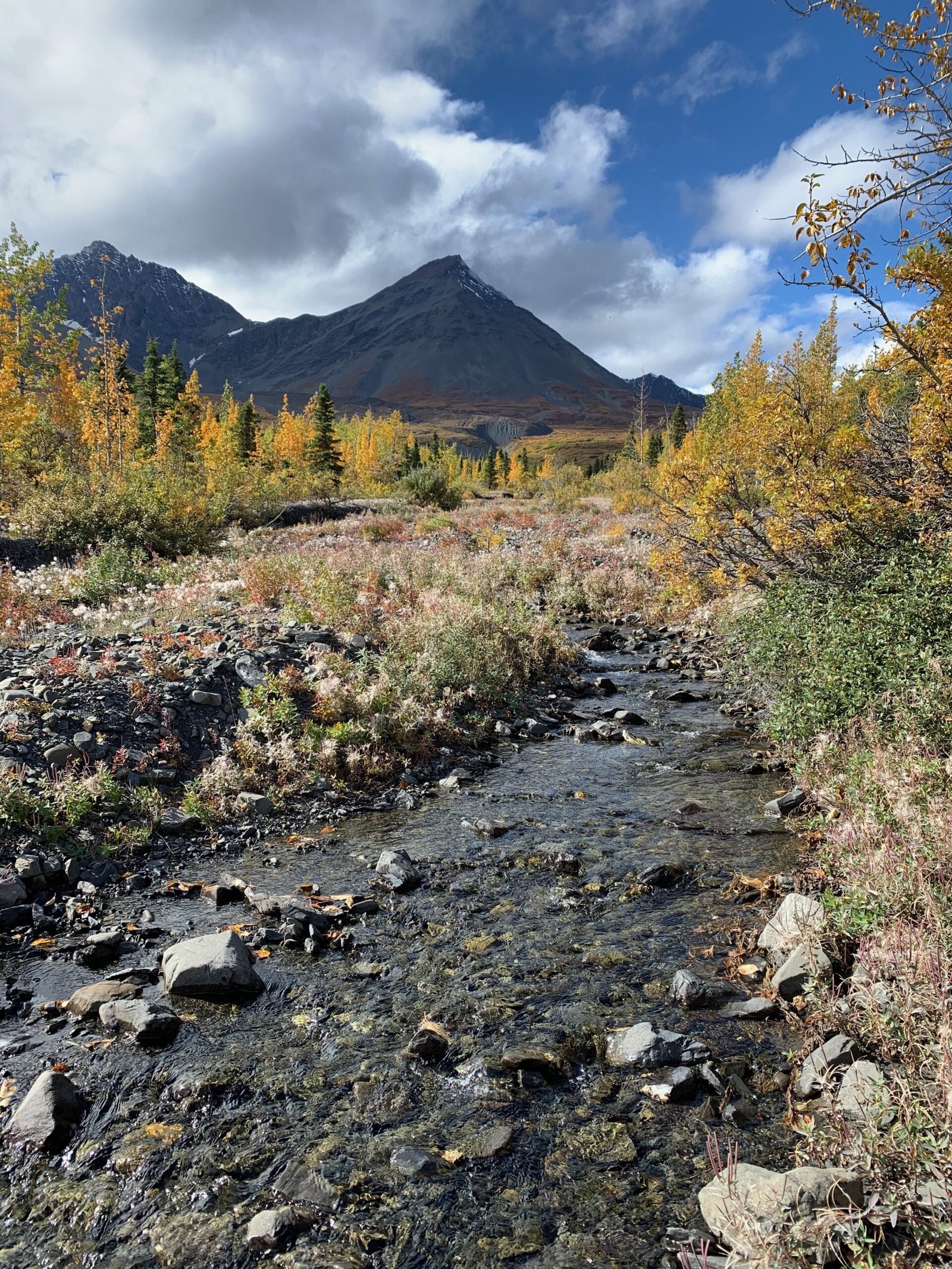 Auriol Trial, Kluane National Park