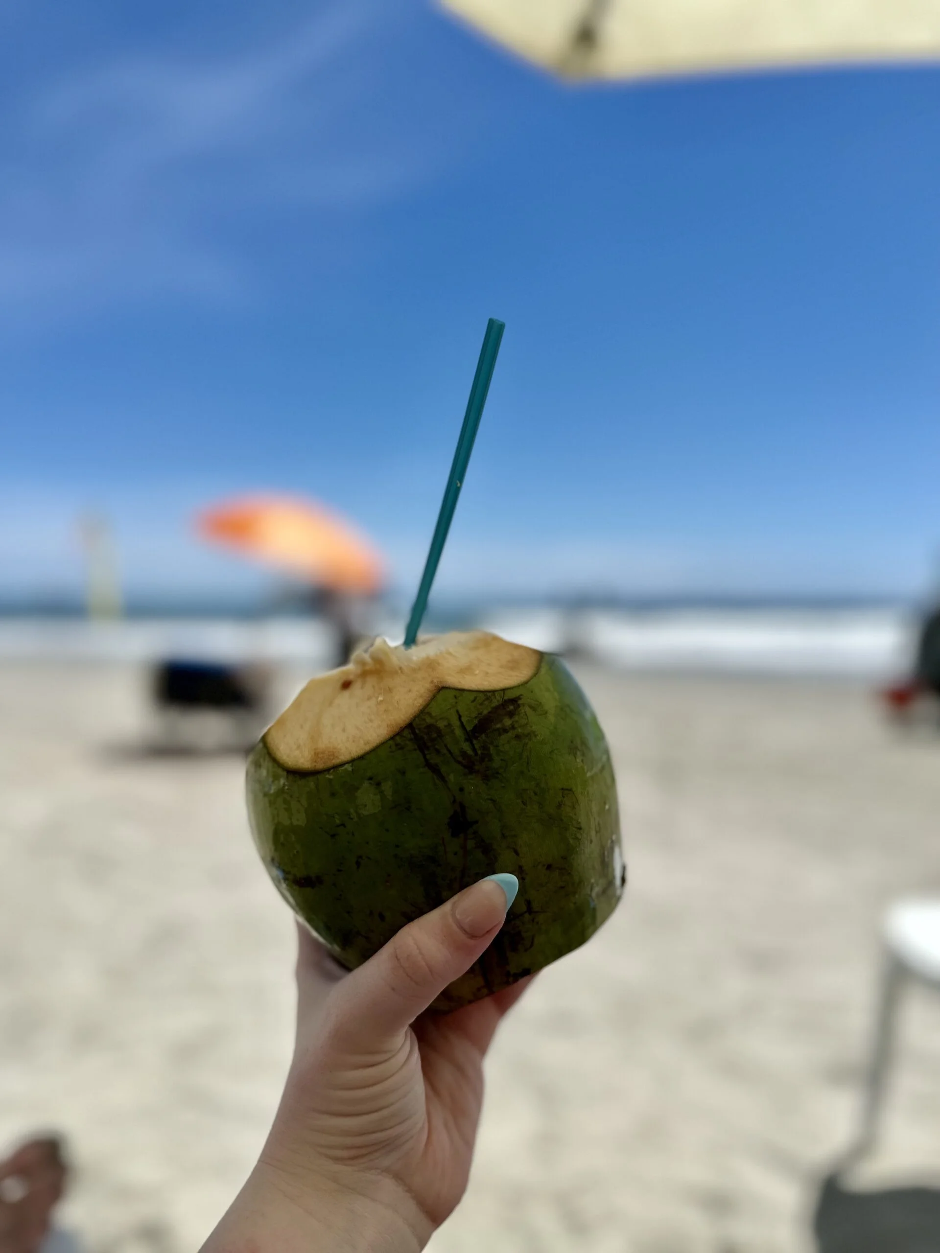 Coconut on Playa Espadilla Norte