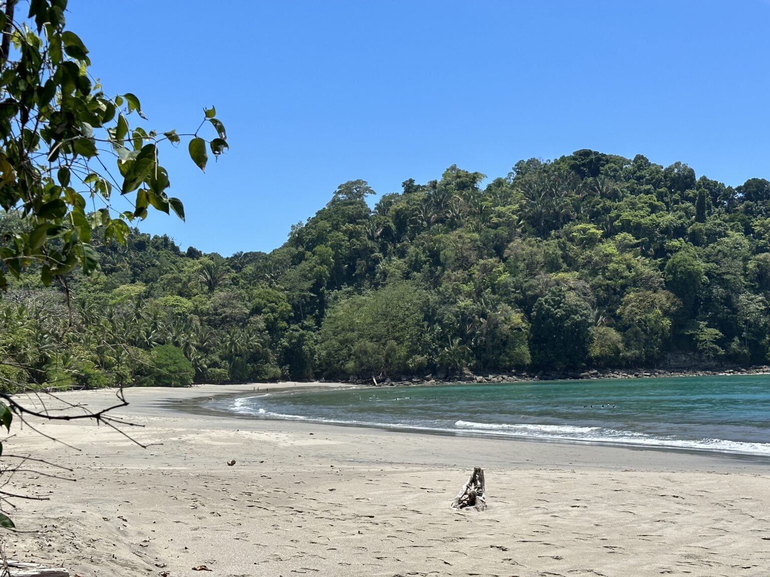 3 Days in Manuel Antonio: The BEST Manuel Antonio Itinerary