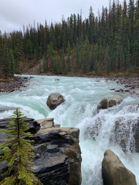 Sunwapta Falls