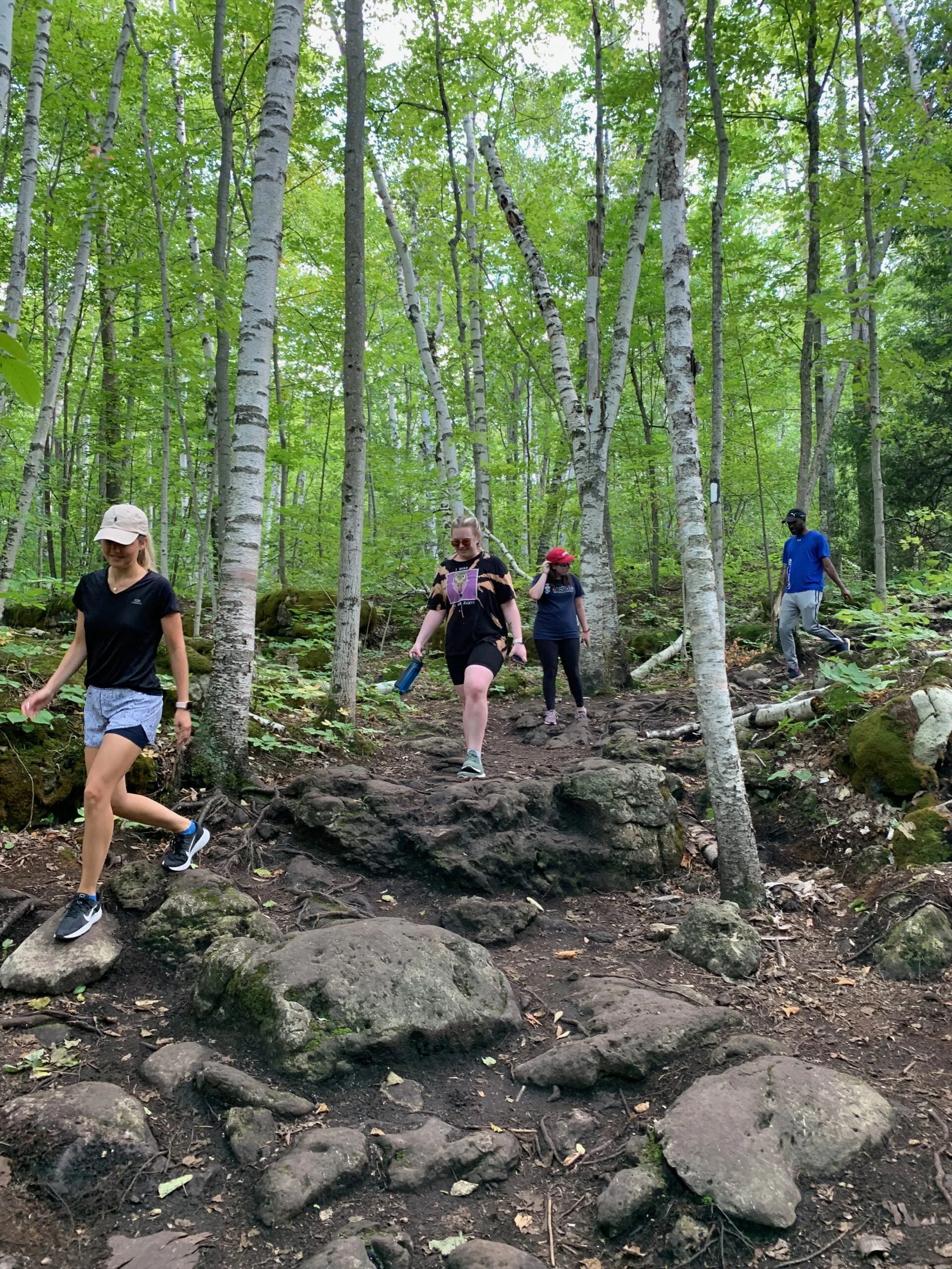 Forest of the Lion's Head lookout trail