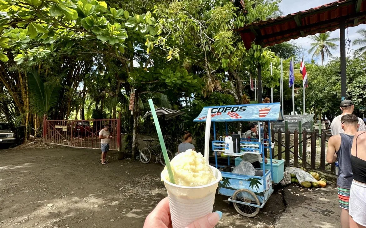 Costa Rican copo, outside of Marino Ballena National Park