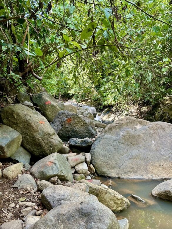 Orange markings on way to Uvita Waterfall