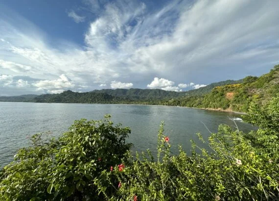 Playa Dominicalito, Costa Rica