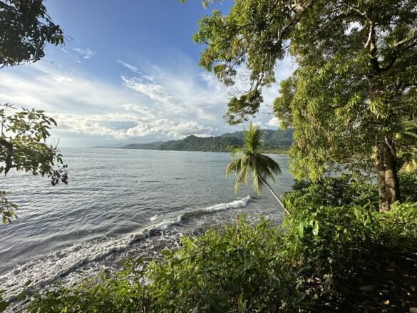 Playa Dominicalito