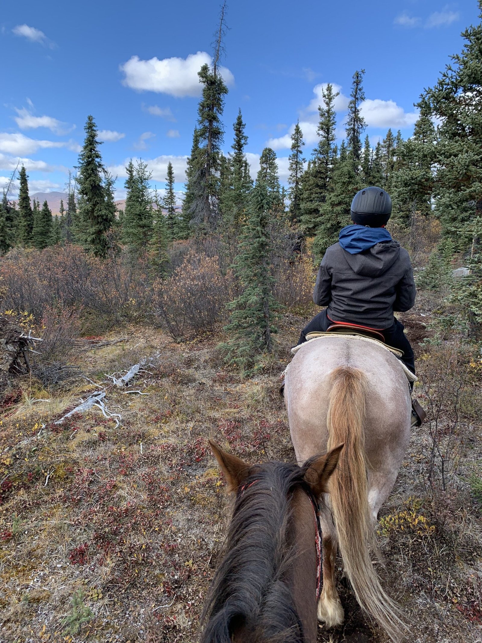 Horseback riding with Sky High Wilderness Ranch in Yukon