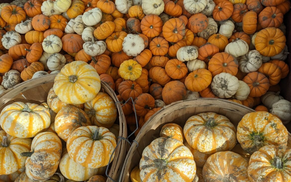 Pumpkins