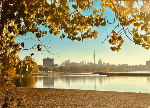 Toronto in fall