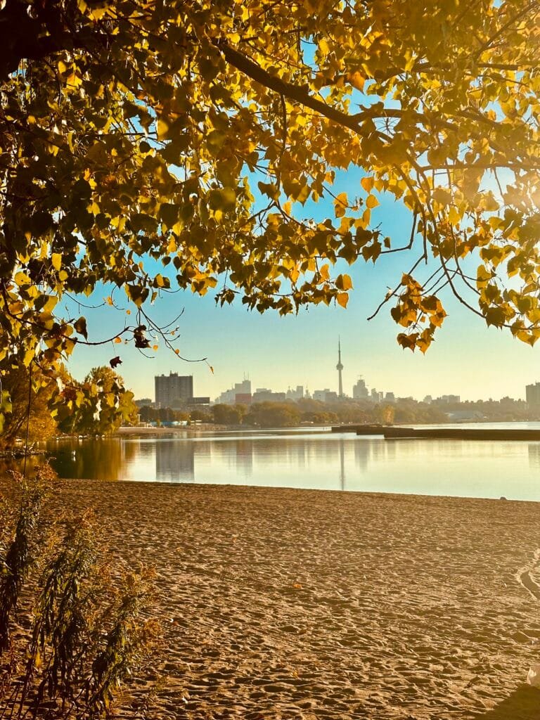 Toronto in fall