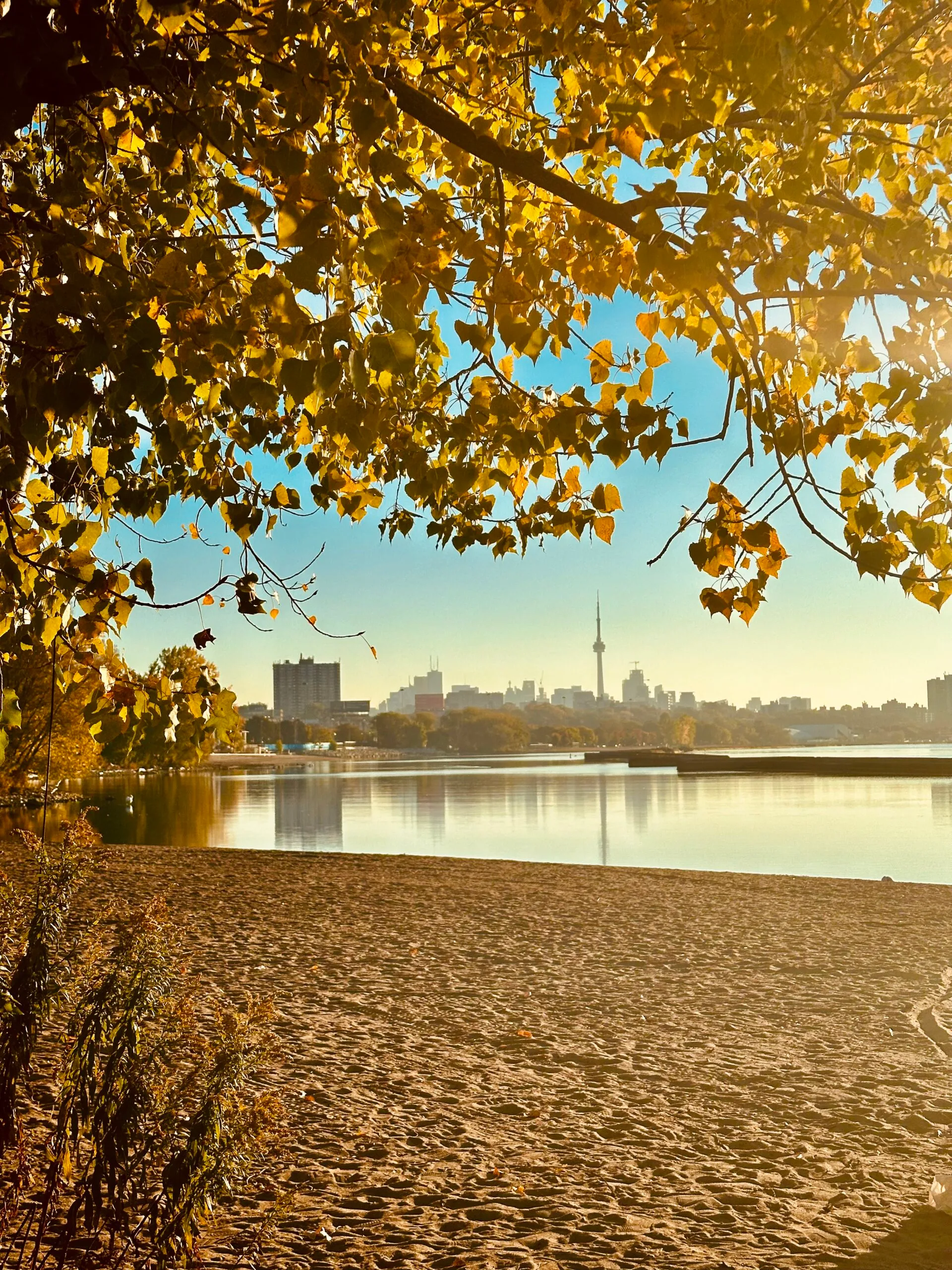 Toronto in fall