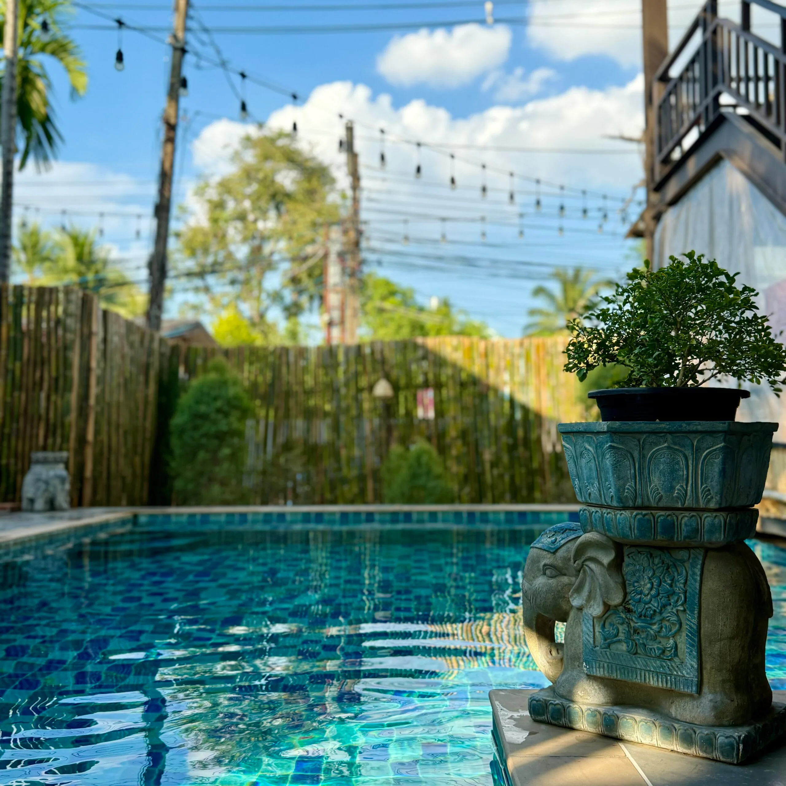 Elephant planters at the pool of Thee Kashatharn