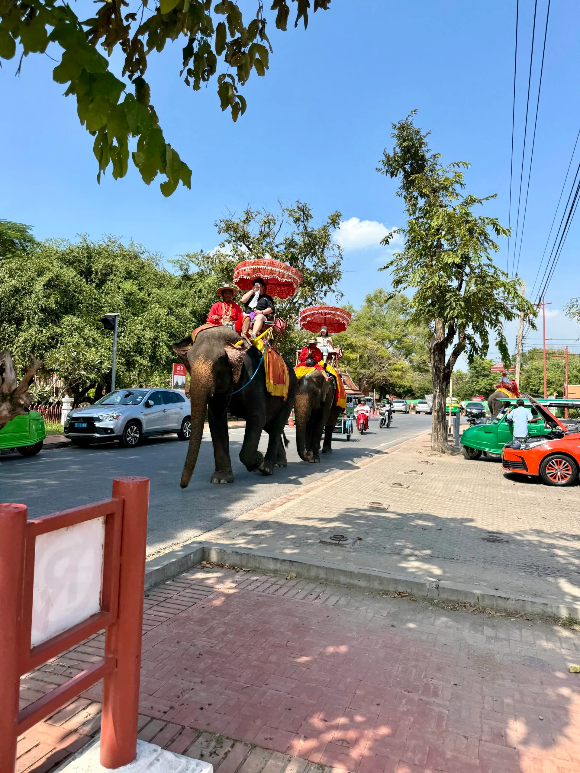 Wat Phra Ram elephant camp