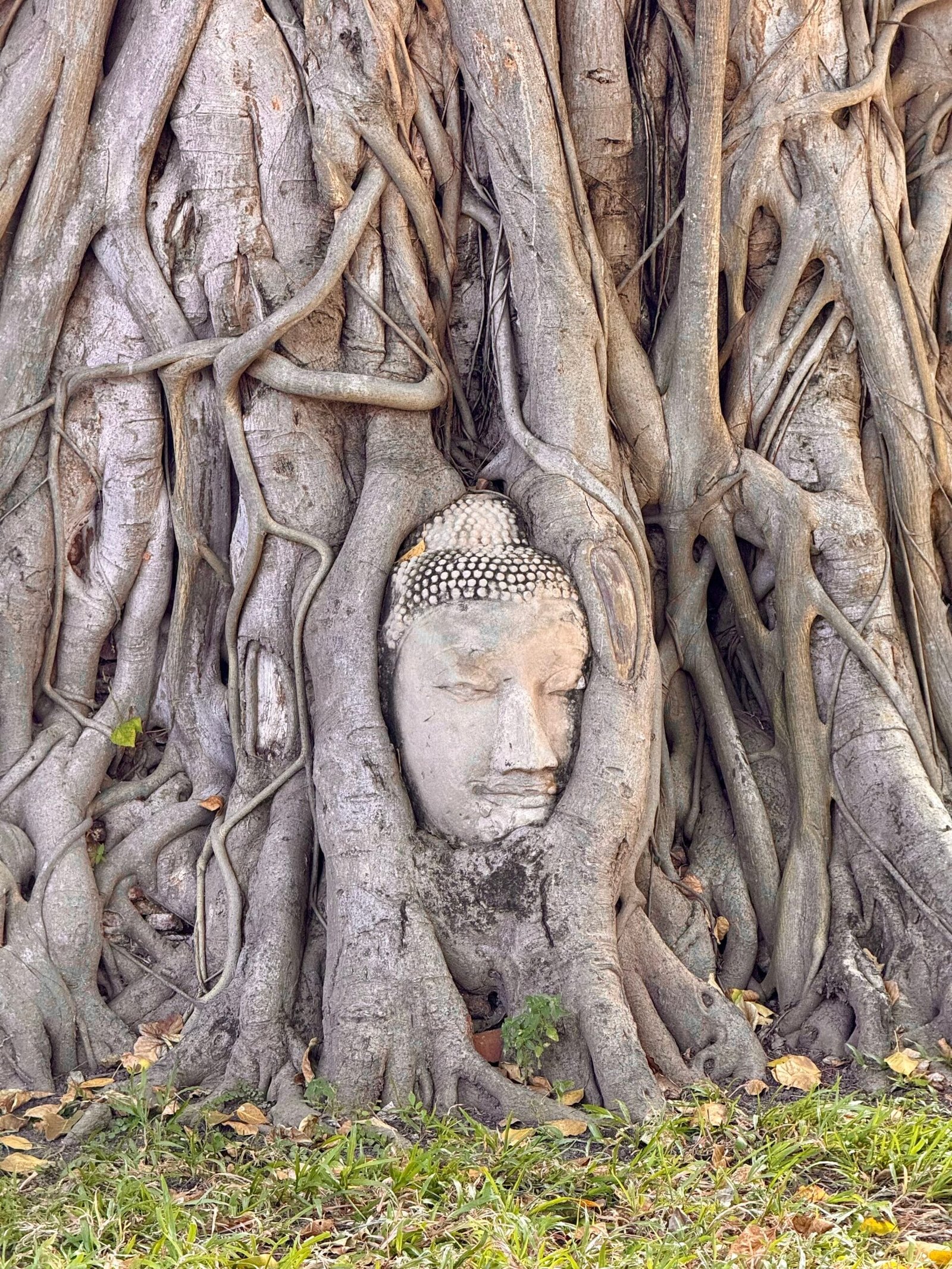 Wat Maha That