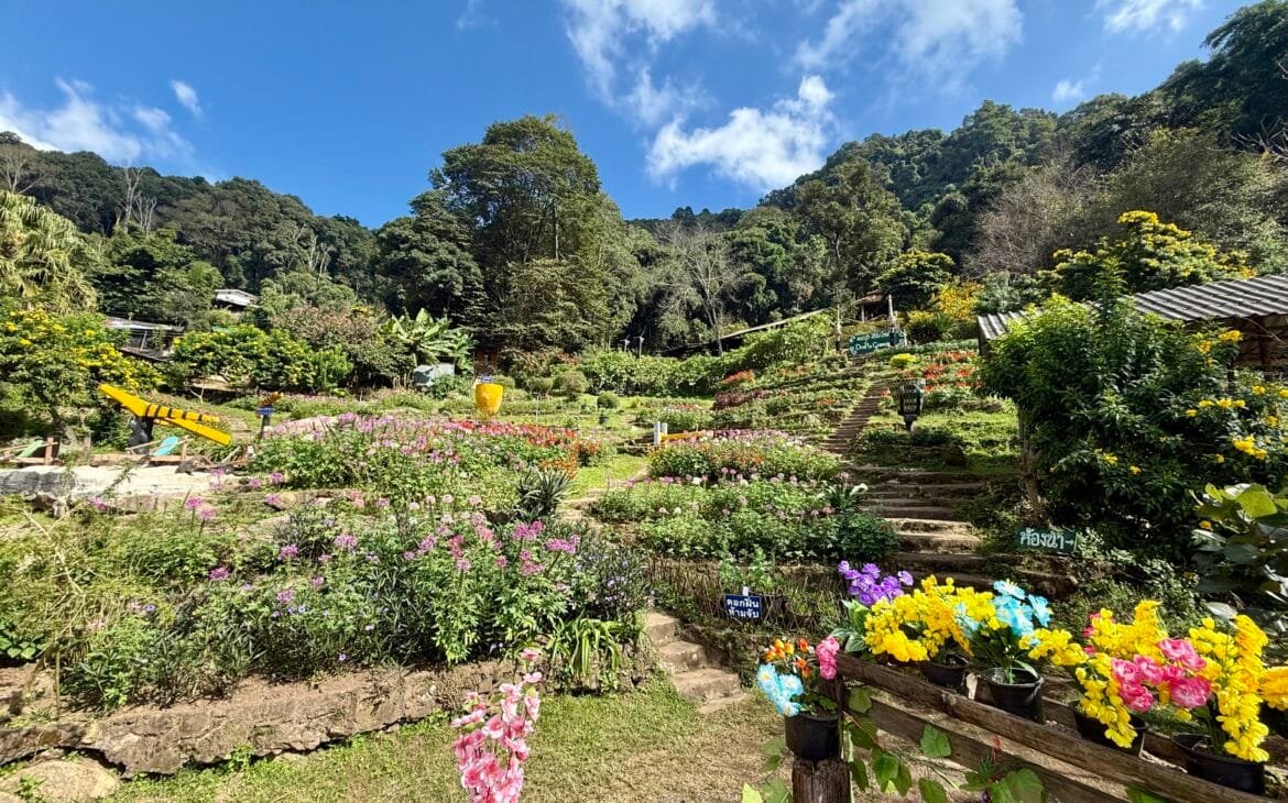 Doi Pui Village