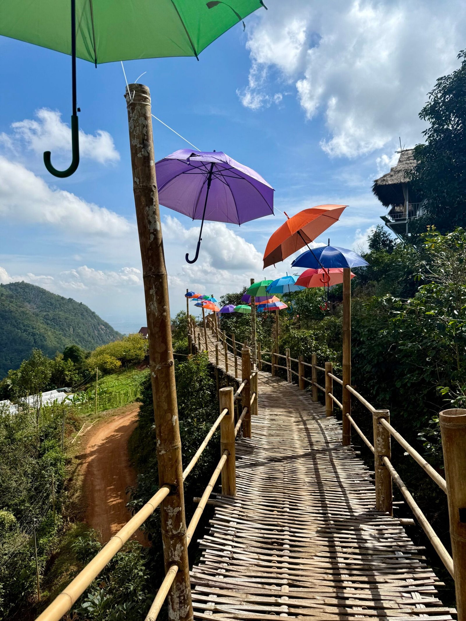 bamboo bridge, pha hee coffee village