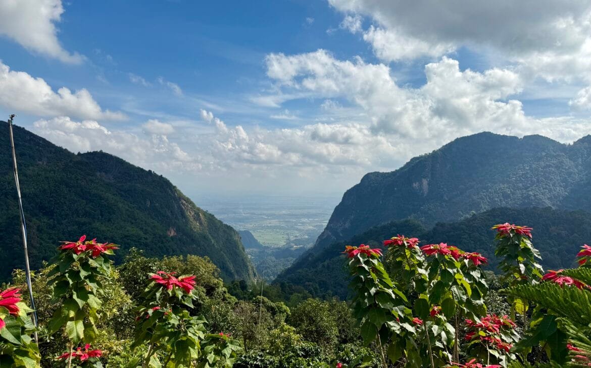 Pha hee coffee village views