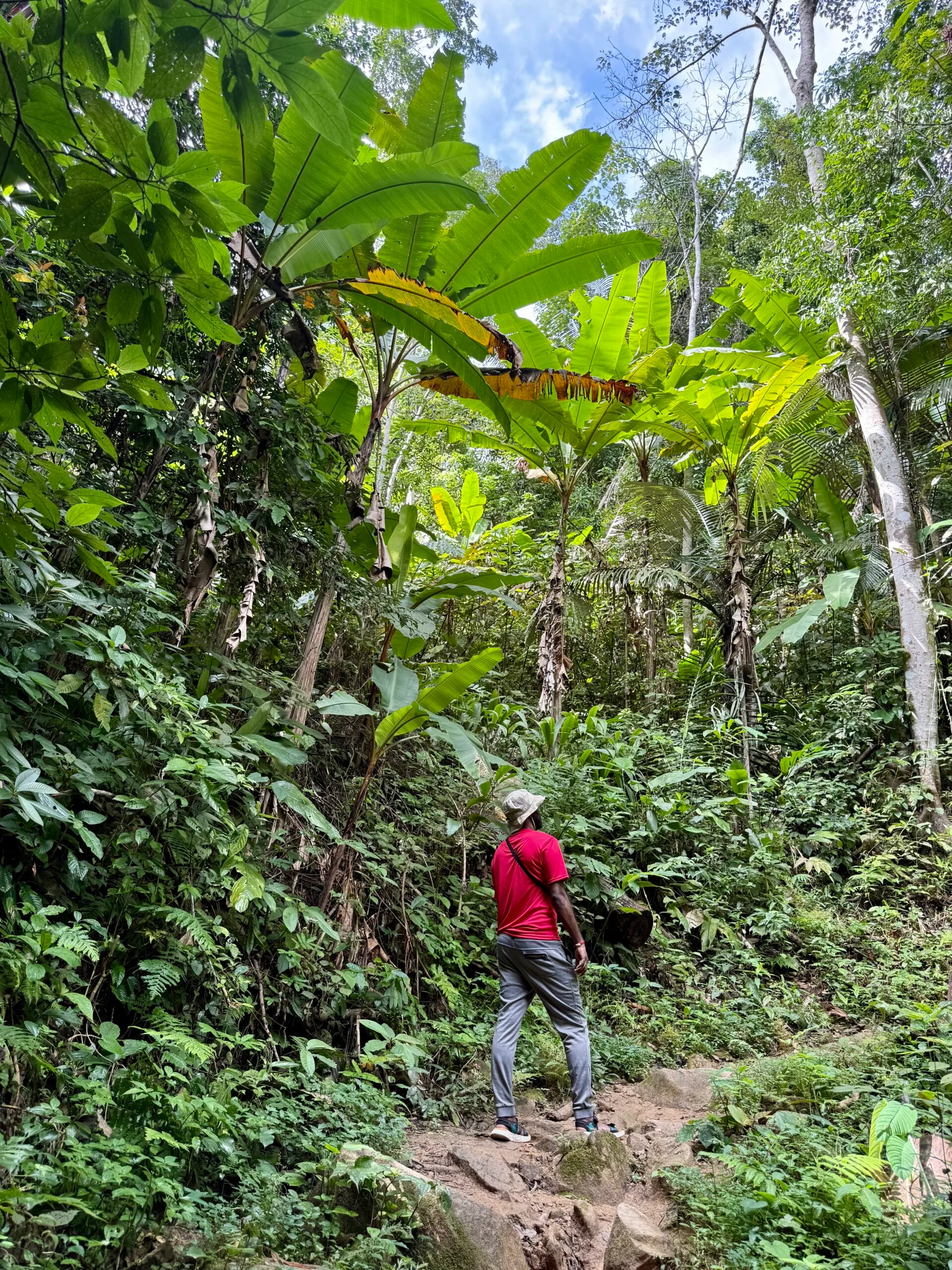 Khun Korn Waterfall Trail