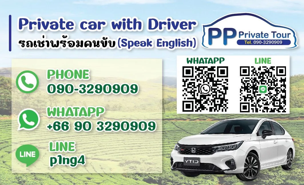 Chiang Rai driver Ping information card